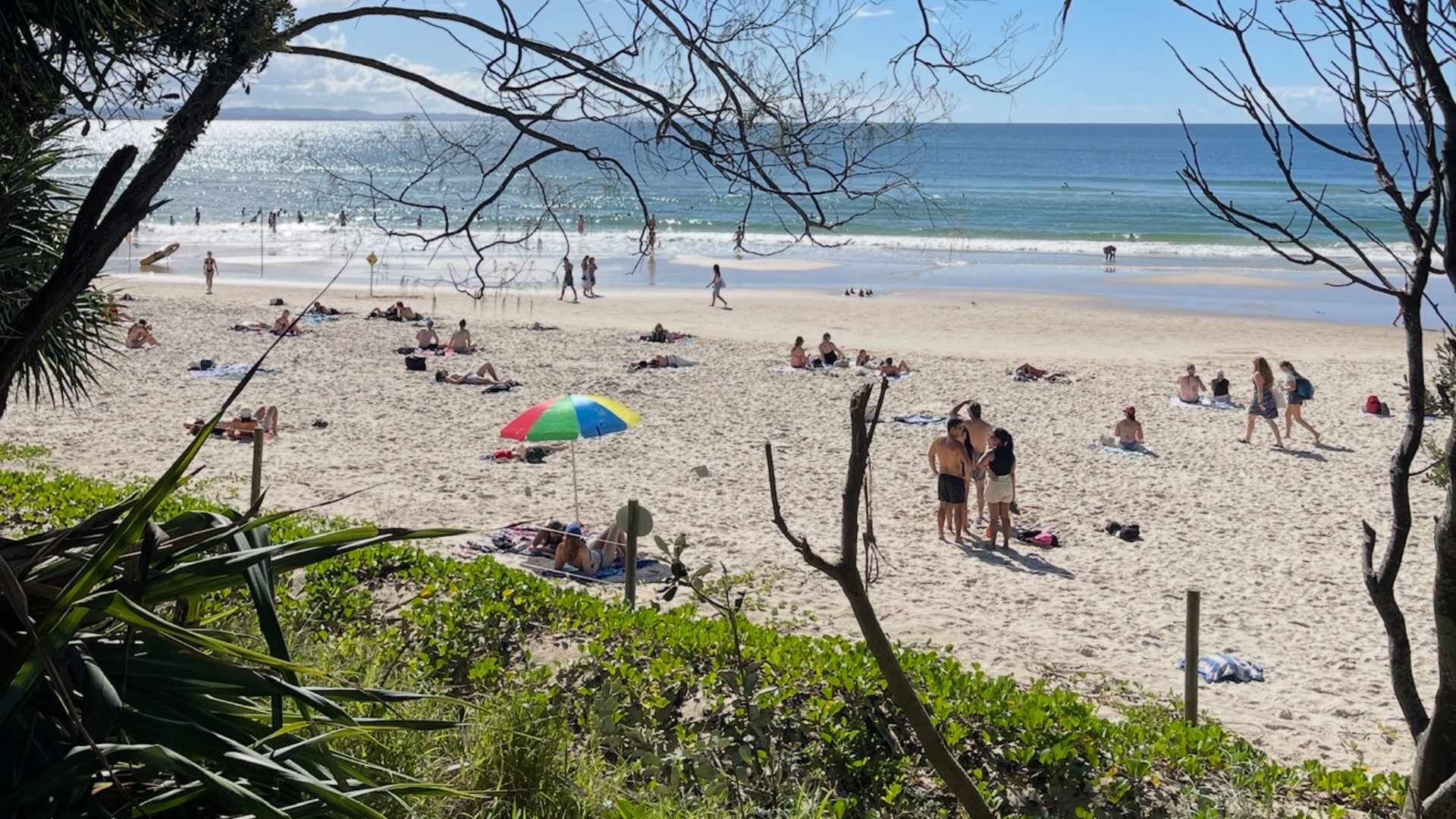 A view of the beach from the top of a hill